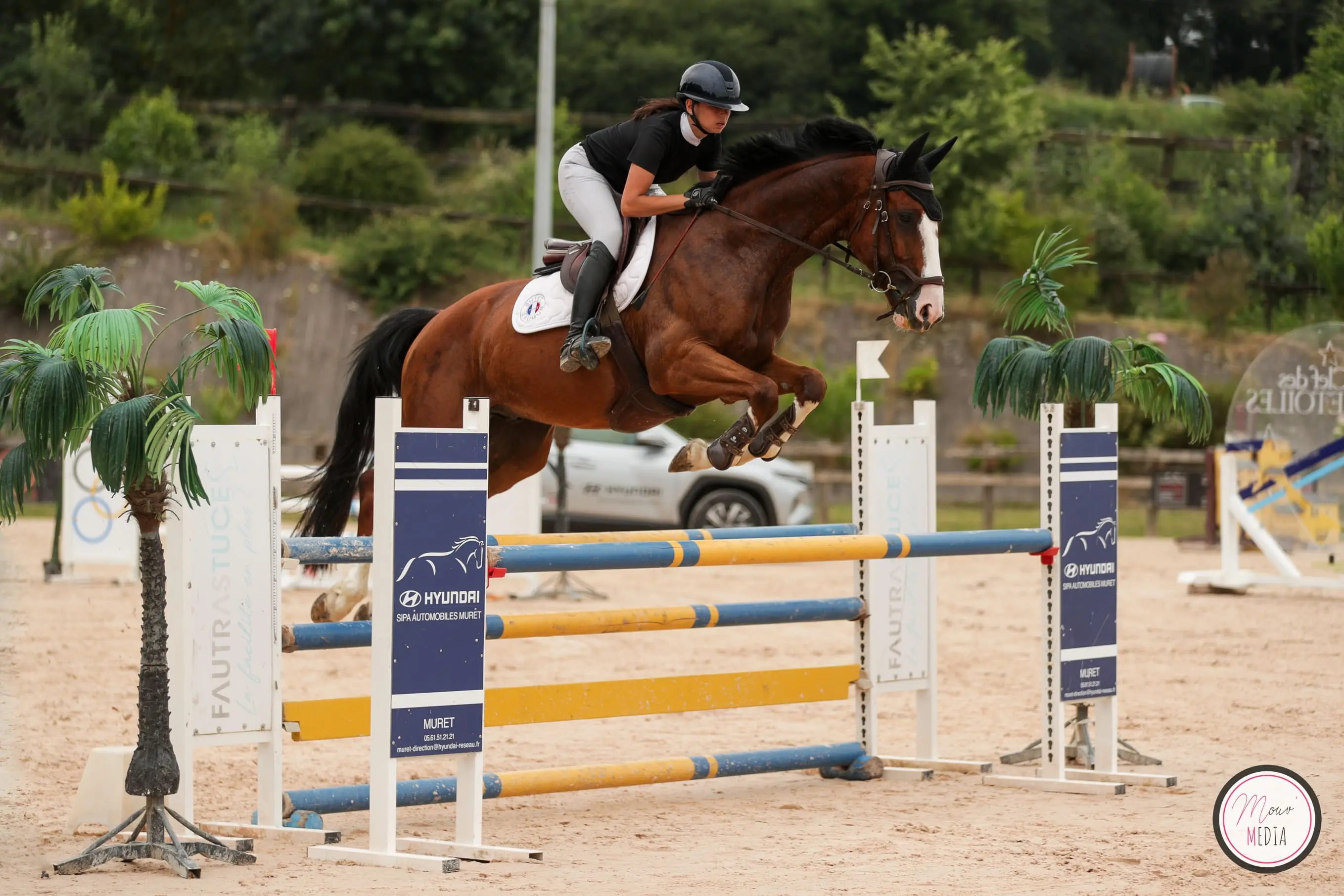 Jehol d'Hontarrede, cheval de CSO
